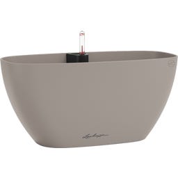 Lechuza NAVIO Color 20 - piaskowo-brązowy