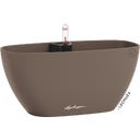 Lechuza NAVIO Color 10 - Nutmeg