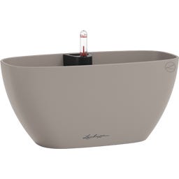 Lechuza NAVIO Color 10 - Sandy Brown