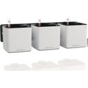 Lechuza Green Wall Home Kit - blanc mat