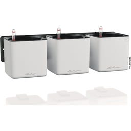 Lechuza Green Wall Home Kit - Matte white