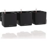 Lechuza Green Wall Home Kit