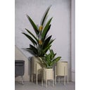 Mauro Ferretti Pflanztopfhalter Set Betsy, 3-teilig - 1 Set