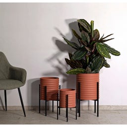 Mauro Ferretti Pflanztopfhalter Set Milly, 3-teilig - 1 Set