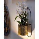 Mauro Ferretti Wandhalterung für Pflanztöpfe Hong - 1 Stk