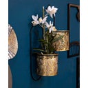 Doppel-Wandhalterung für Pflanztöpfe Hong - 1 Stk