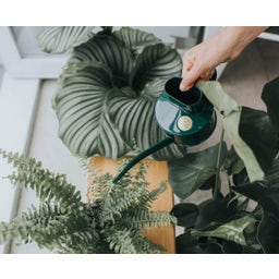 Indoor Metall Gießkanne 