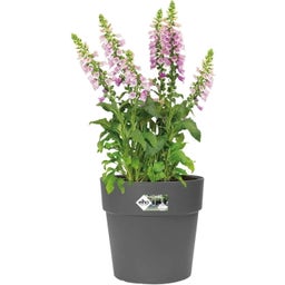 elho vibia straight round, 25 cm - antracite