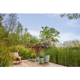 elho Planteringskruka Sereh Rund 25 Cm - skandinavisk grön