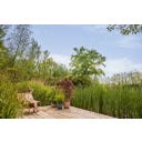 elho Planteringskruka Sereh Rund 25 Cm - skandinavisk grön