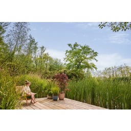 elho Planteringskruka Sereh Rund 25 Cm - skandinavisk grön