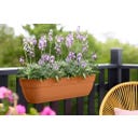 elho vibia campana easy hanger XXL 70cm - terra