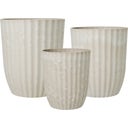 Wikholm Form Yodit Planter Set of 3