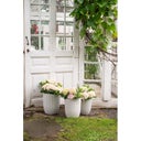 Wikholm Form Yodit Planter Set of 3 - Sand