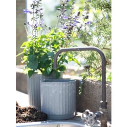 Wikholm Form Deux Pots de Fleurs 