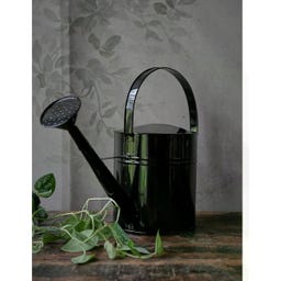 Wikholm Form Arrosoir 