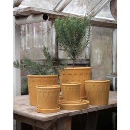 Wikholm Form Lykke Übertopf 3er-Set gelb - 1 Set