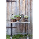 Wikholm Form Ragna Pflanztopf 4er-Set rost - 1 Set