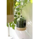 Wikholm Form Lola Vogelhaus - grün