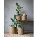 Wikholm Form Belle Blumentopfset 5er natur - 1 Set