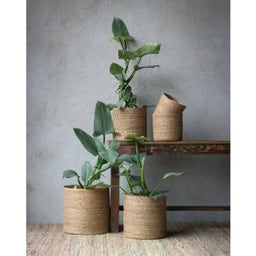 Wikholm Form Belle Blumentopfset 5er natur - 1 Set