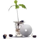 Botanopia Coupelle de Germination - Small