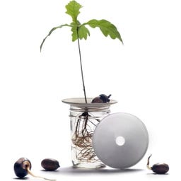 Botanopia Coupelle de Germination - Small