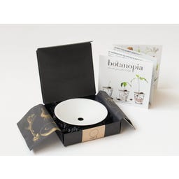 Botanopia Coupelle de Germination - Small