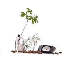 Botanopia Coupelle de Germination - Small