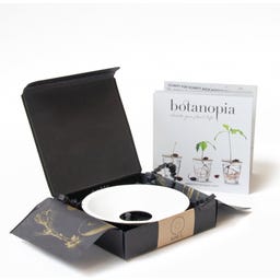 Botanopia Groningsplatta - large