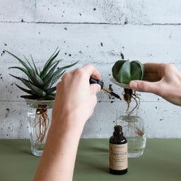 Botanopia Biologische Meststof 