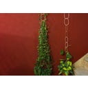 Botanopia Support for Climbing Plants - Brass