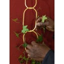 Botanopia Support for Climbing Plants - Brass