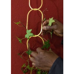 Botanopia Support for Climbing Plants - Brass