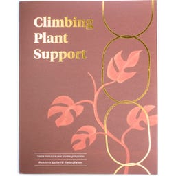 Botanopia Support for Climbing Plants - Brass