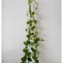 Botanopia Support for Climbing Plants - Brass
