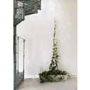 Botanopia Support for Climbing Plants - Brass