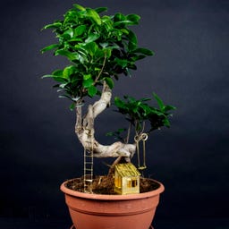 Botanopia Mini Tree House for Plants - 1 item