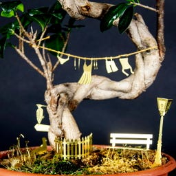 Botanopia Bicycle Adventure for Plants - 1 item