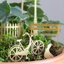Botanopia Bicycle Adventure for Plants - 1 item