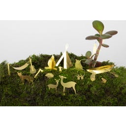 Botanopia Mini-Camping für Pflanzen - 1 Stk
