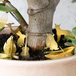 Botanopia Mini Camping Set for Plants - 1 item