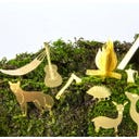 Botanopia Mini Camping Set for Plants - 1 item