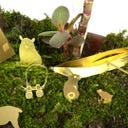 Botanopia Mini Camping Set for Plants - 1 item