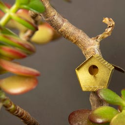 Botanopia Mini Bird House for Plants - 1 item