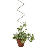 Botanopia Plant Support
