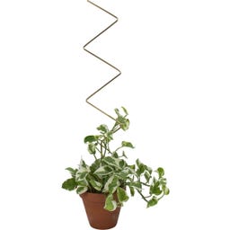 Botanopia Plant Support
