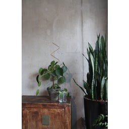Botanopia Plant Support - Zig Zag
