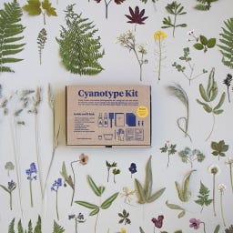 Botanopia Coffret Cyanotype - 1 kit
