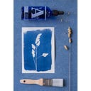 Botanopia Coffret Cyanotype - 1 kit